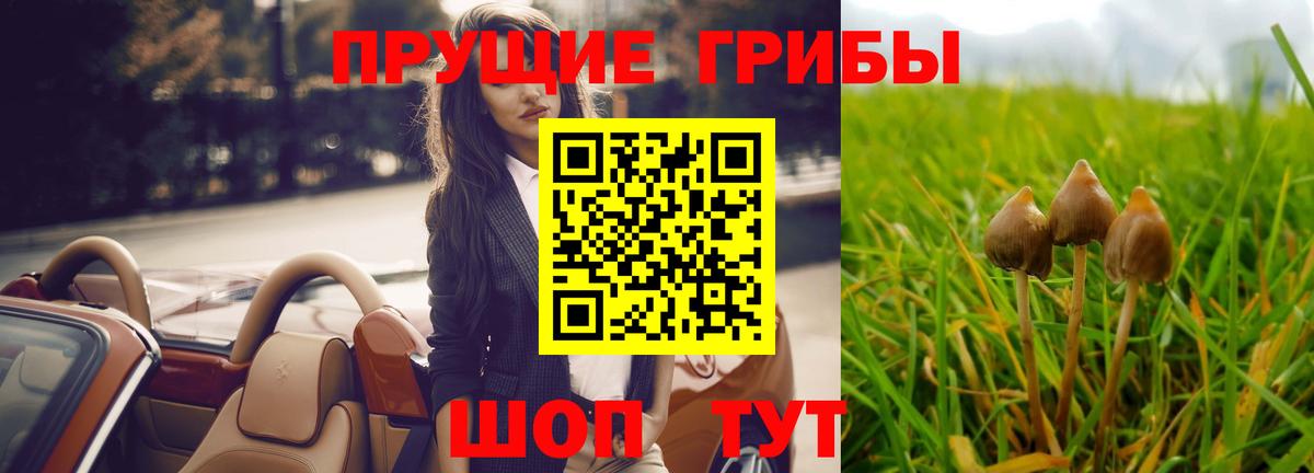 Псилоцибиновые грибы MAGIC MUSHROOMS  Псилоцибиновые грибы Psilocybine cubensis  купить наркотики сайты  Белореченск  Вход с VPN 