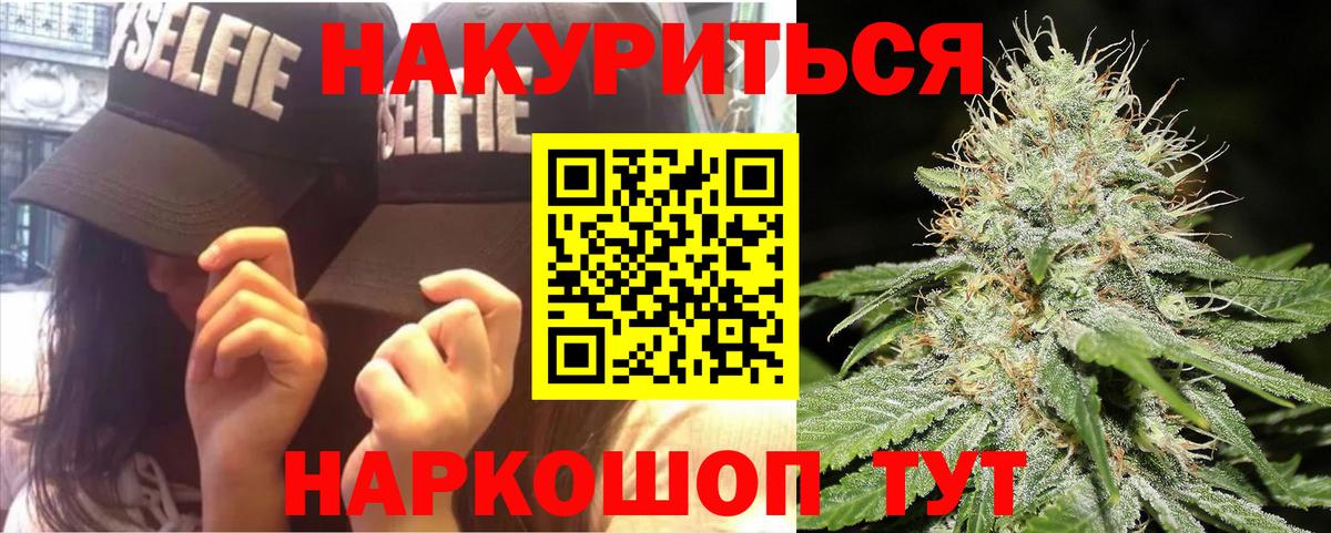 Конопля план Белореченск